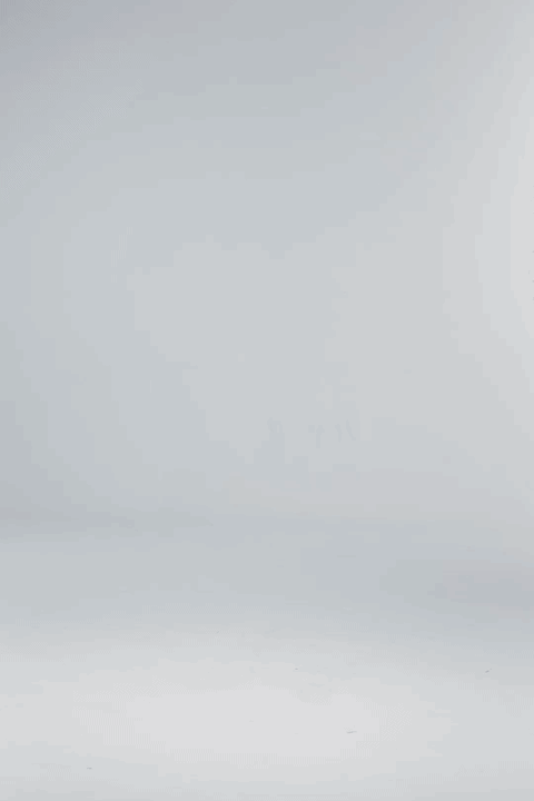 LOOK2_7sec_480p.gif