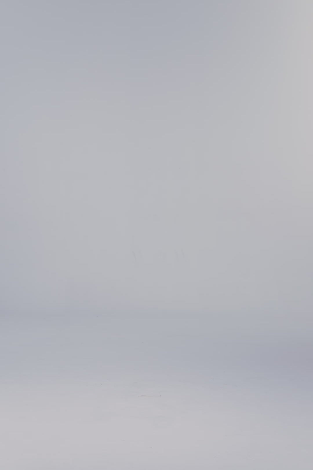 188f4fac62e14141955adcfe097117d5.thumbnail.0000000000.jpg